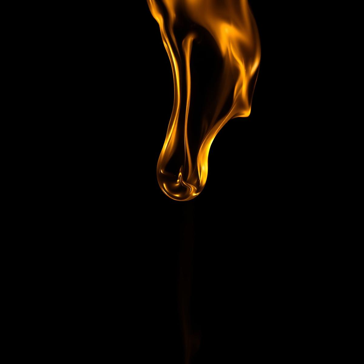 Golden liquid suspended against black. A single drop about to fall.